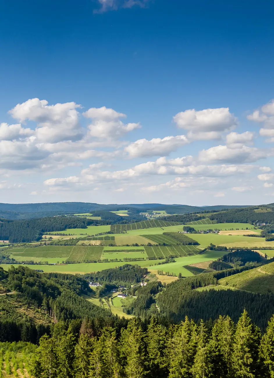 Landschaft im Hochsauerlandkreis